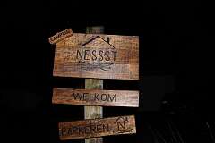 1: IMG_8861