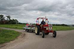 11: IMG_8982