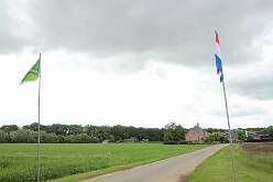 12: IMG_8987
