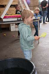 33: IMG_9038