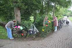 64: IMG_9120